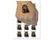 Stout Bearded Viking with Horned Helmet Temporary Tattoo Water Resistant Fake Body Art Set Collection (1 Sheet)